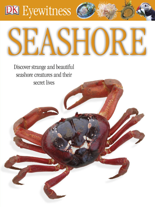 Title details for My Little Picture Bible by DK - Available